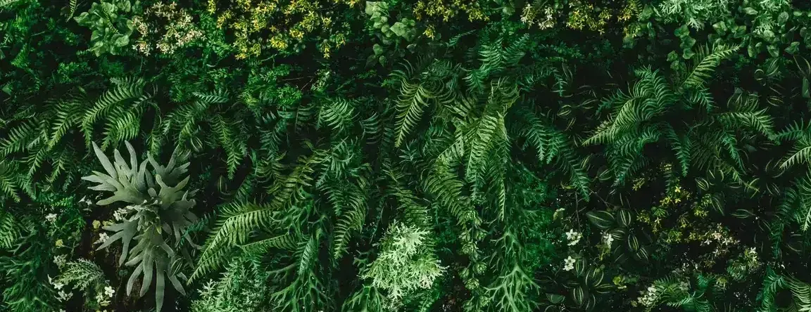 Dense green plant wall with ferns and yellow blooms